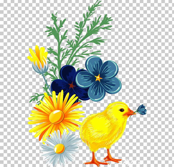 Portable Network Graphics Graphics GIF PNG, Clipart, Beak, Bird, Branch, Cartoon, Daisy Free PNG Download