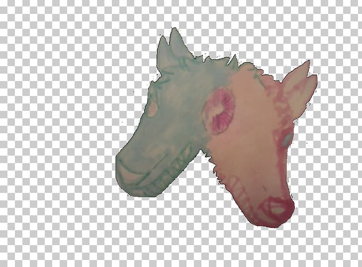 Snout PNG, Clipart, Head, Others, Snout Free PNG Download