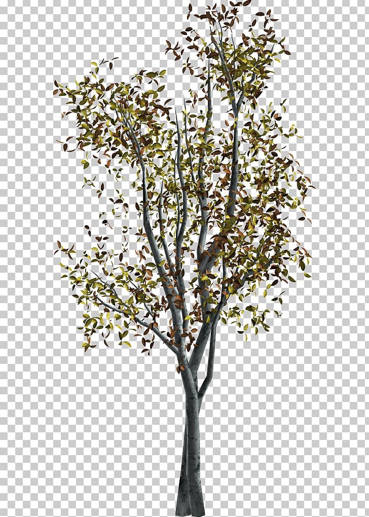 Twig Portable Network Graphics Adobe Photoshop Tree PNG, Clipart, Branch, Computer Font, Digital Image, Nature, Photography Free PNG Download