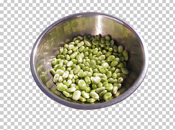 Broad Bean Legumes Fava Bean PNG, Clipart, Bean, Black Beans, Broad Bean, Cashew, Commodity Free PNG Download