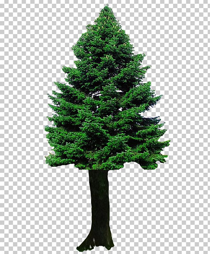 Christmas Tree PNG, Clipart, 3d Computer Graphics, Biome, Christmas, Christmas Decoration, Christmas Lights Free PNG Download