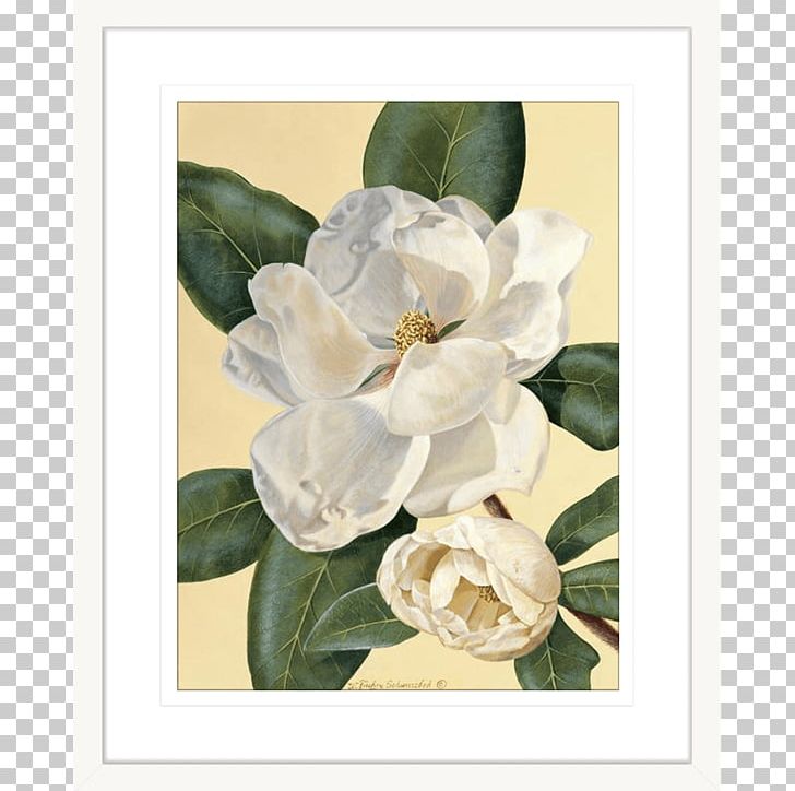 Magnolia Frames Printmaking Art Painting PNG, Clipart, Art, Art Museum, Baron Von Lind, Canvas, Canvas Print Free PNG Download