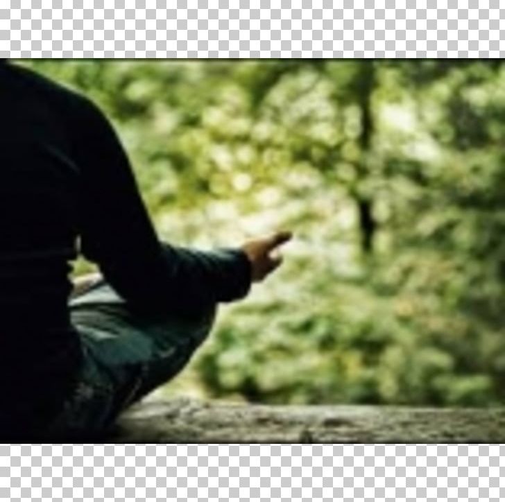 Meditation Buddhism Mindfulness In The Workplaces Vipassanā Mettā PNG, Clipart, Buddhism, Calmness, Daniel Goleman, Dou, Grass Free PNG Download