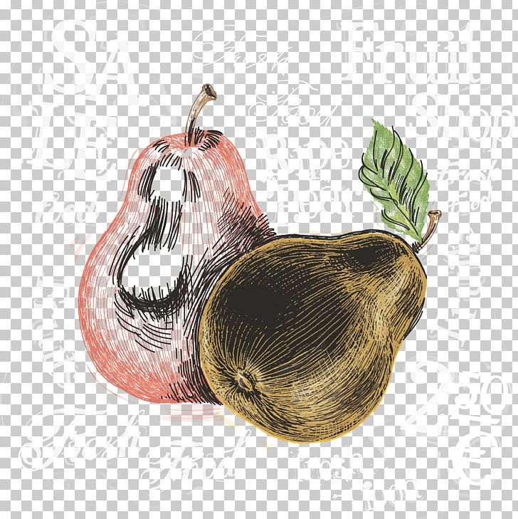 Watercolor Painting Pear PNG, Clipart, Auglis, Cartoon Fruit, Decorative Pattern, Download, Euclidean Vector Free PNG Download