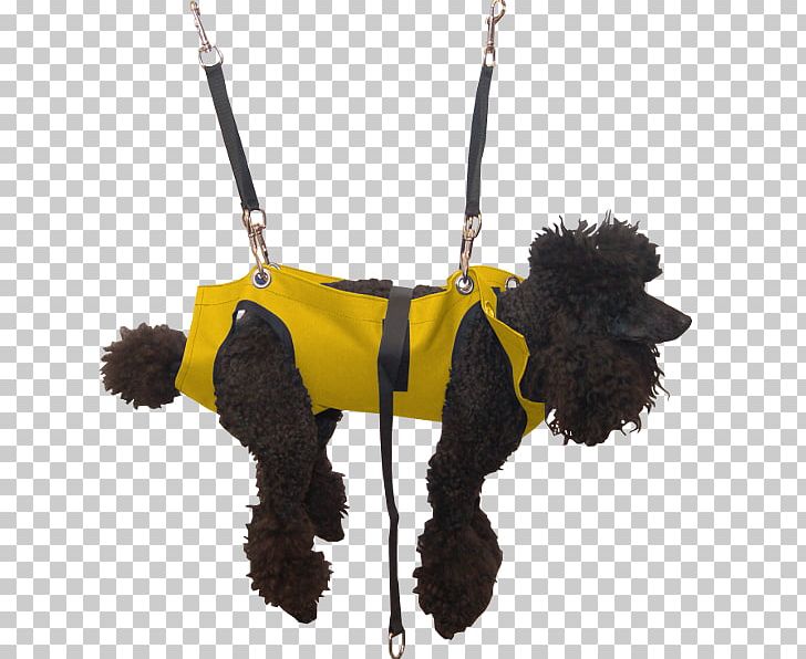 Dog Grooming Pet Hammock Leash PNG, Clipart, Animals, Baby Sling, Breed, Cots, Dog Free PNG Download
