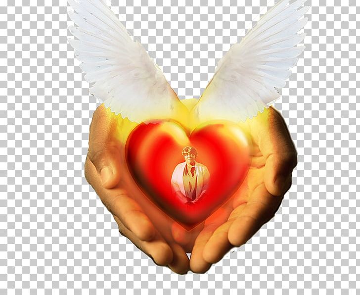 Heart PNG, Clipart, American Heart Association, Heart, Love, Others, Wing Free PNG Download