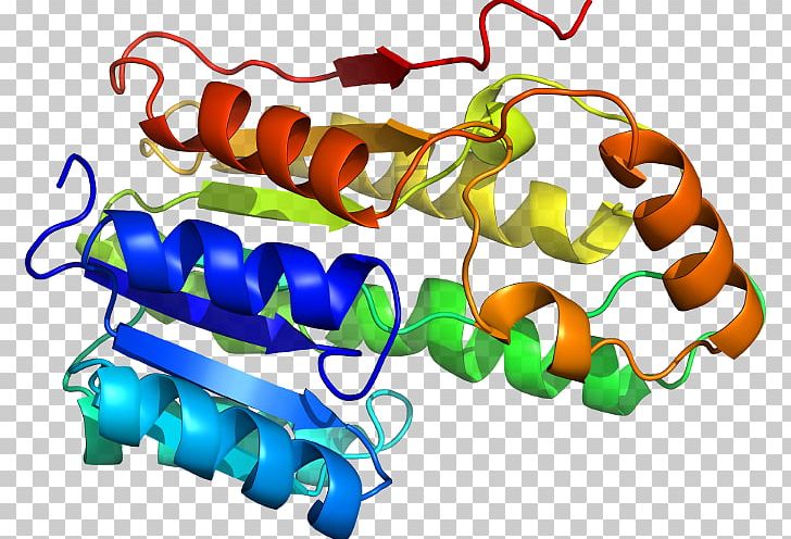 Homology Modeling Protein Structure Prediction Threading PNG, Clipart, Amino Acid, Bioinformatics, Biology, Computational Biology, Docking Free PNG Download