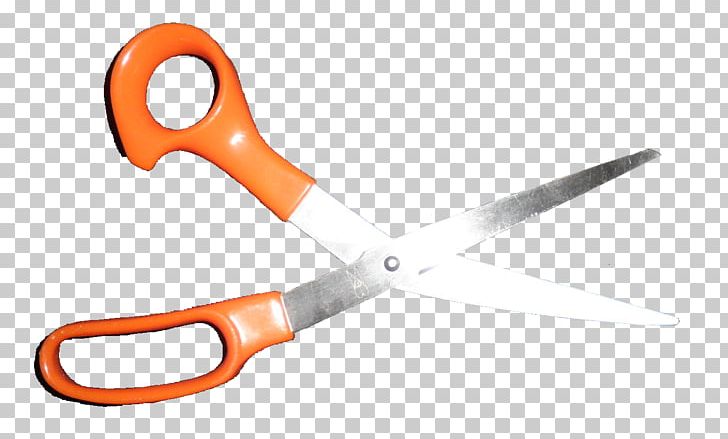 Scissors Tool Plant Stem Hair-cutting Shears Knife PNG, Clipart, Angle, Craft, Hair, Haircutting Shears, Hair Shear Free PNG Download