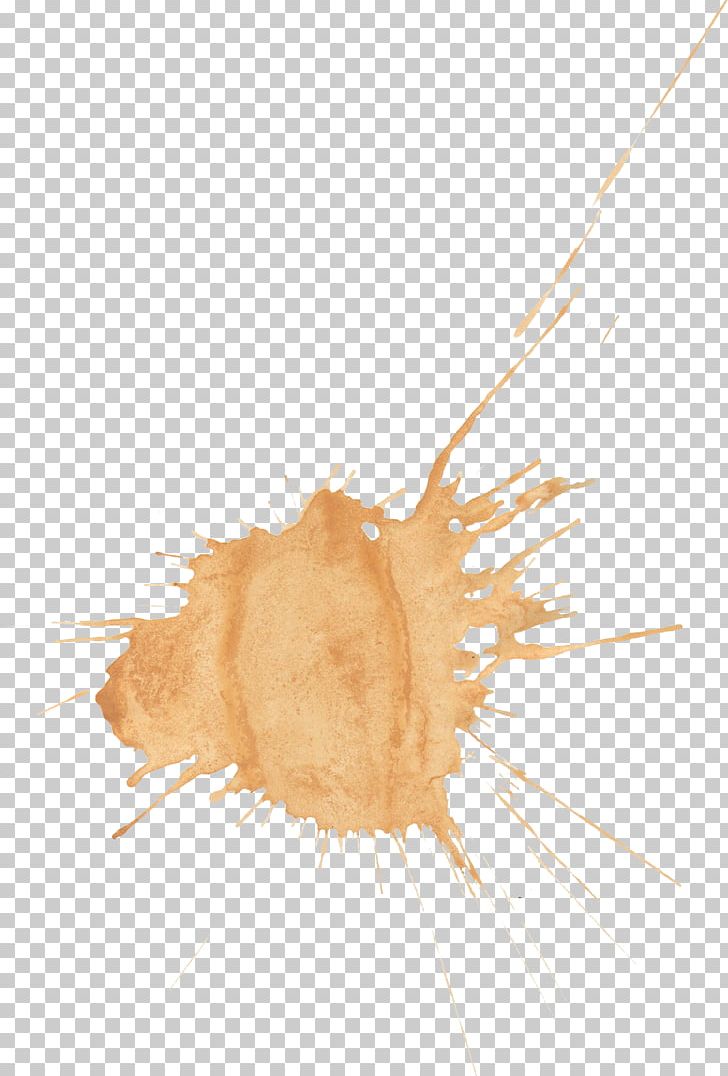 Watercolor Painting PNG, Clipart, Art, Download, Line, Painting, Splat Free PNG Download