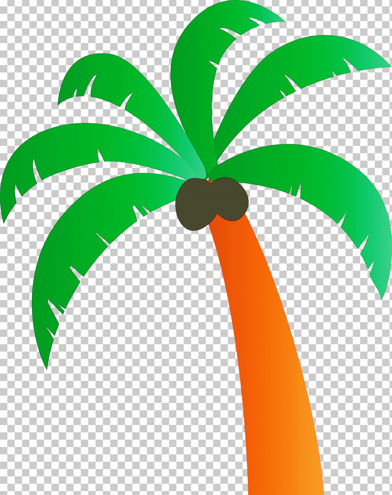 Palm Trees PNG, Clipart, Arecales, Beach, Borassus, Branch, Cartoon Tree Free PNG Download