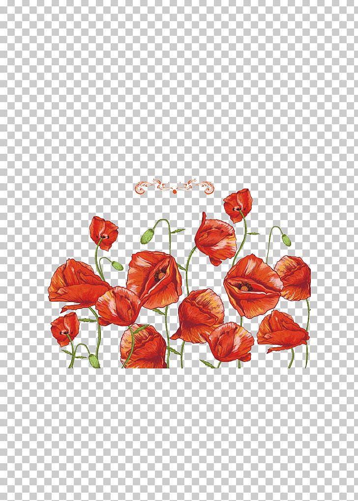 Common Poppy Flower Remembrance Poppy PNG, Clipart, Armistice Day, Artificial Flower, Bud, Color, Cut Flowers Free PNG Download
