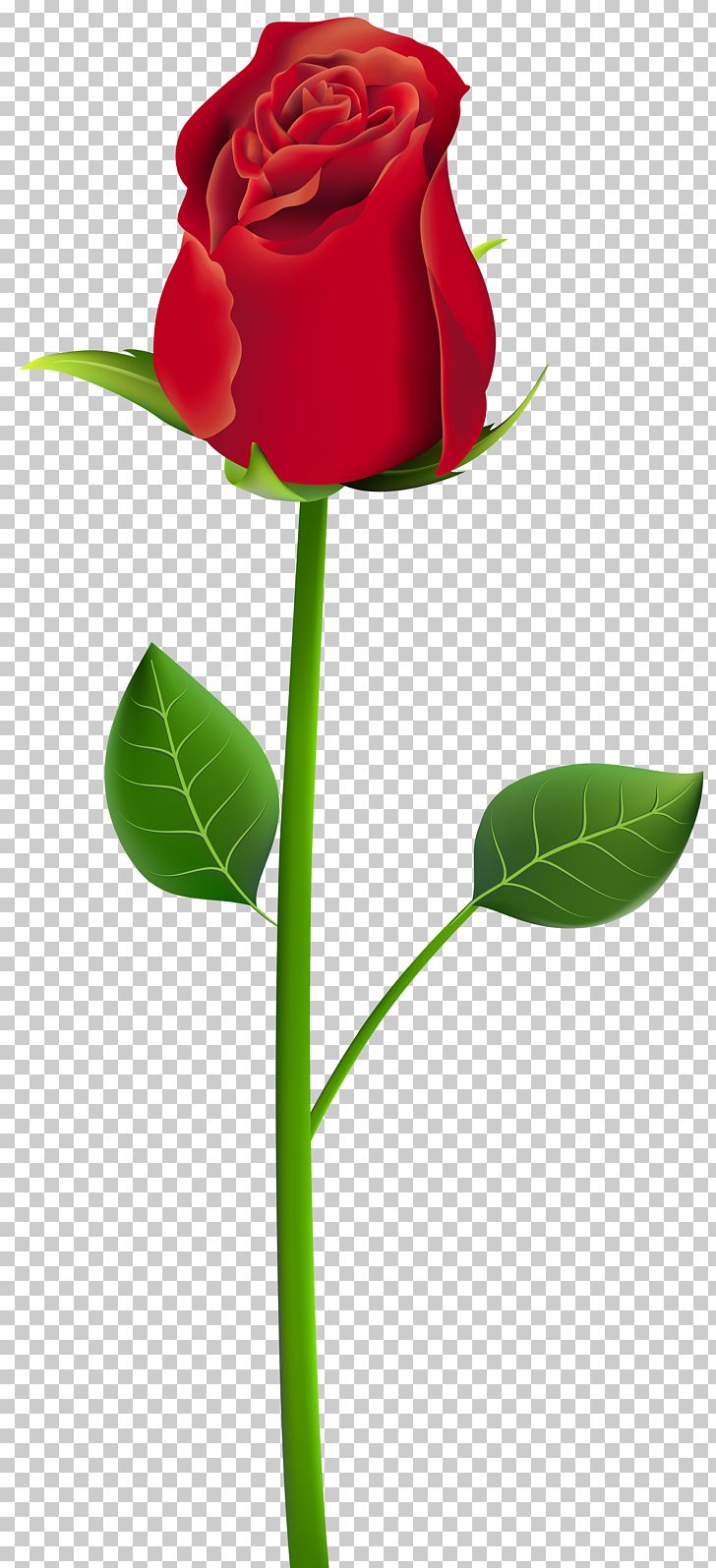 Rose PNG, Clipart, Bud, Clip Art, Clipart, Cut Flowers, Flora Free PNG Download