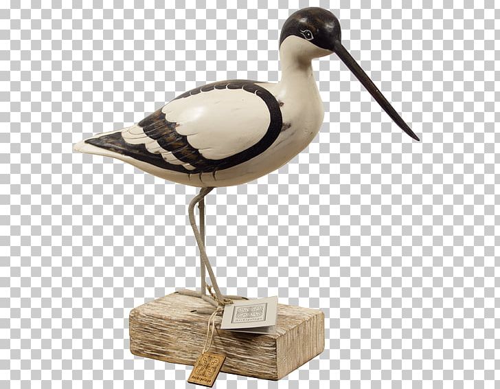 Seabird Beak Sculpture PNG, Clipart, Animals, Beach, Beak, Bird, Coast Free PNG Download