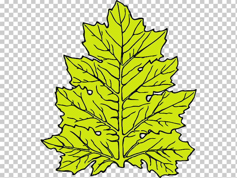 Leaf Plant Stem Symmetry Line Tree PNG, Clipart, Biology, Branching, Geometry, Leaf, Line Free PNG Download