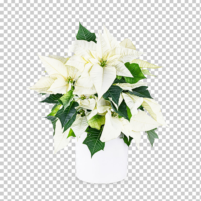 Floral Design PNG, Clipart, Artificial Flower, Biology, Cut Flowers, Floral Design, Flower Free PNG Download