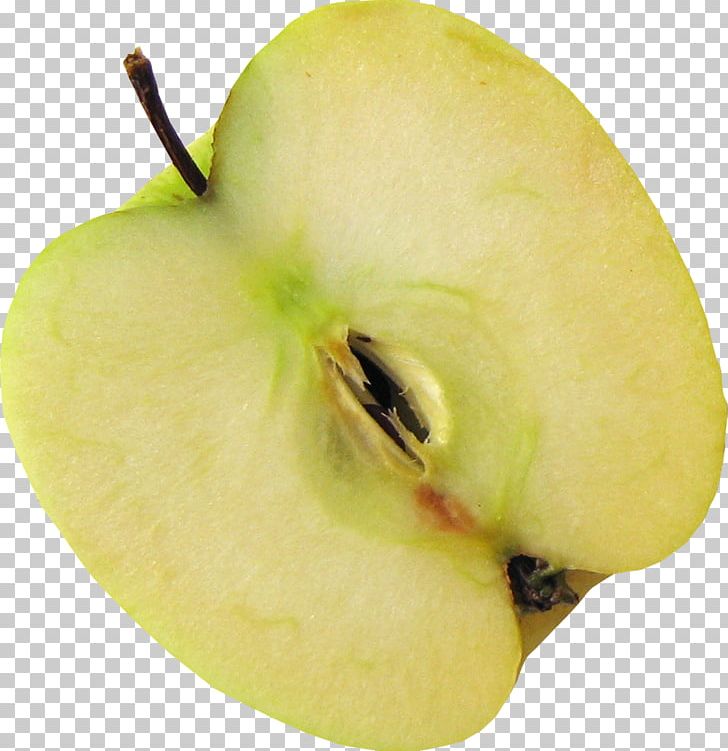 Apple Granny Smith Resource PNG, Clipart, Apple, Apple Fruit, Apple Logo, Apple Photos, Background Green Free PNG Download