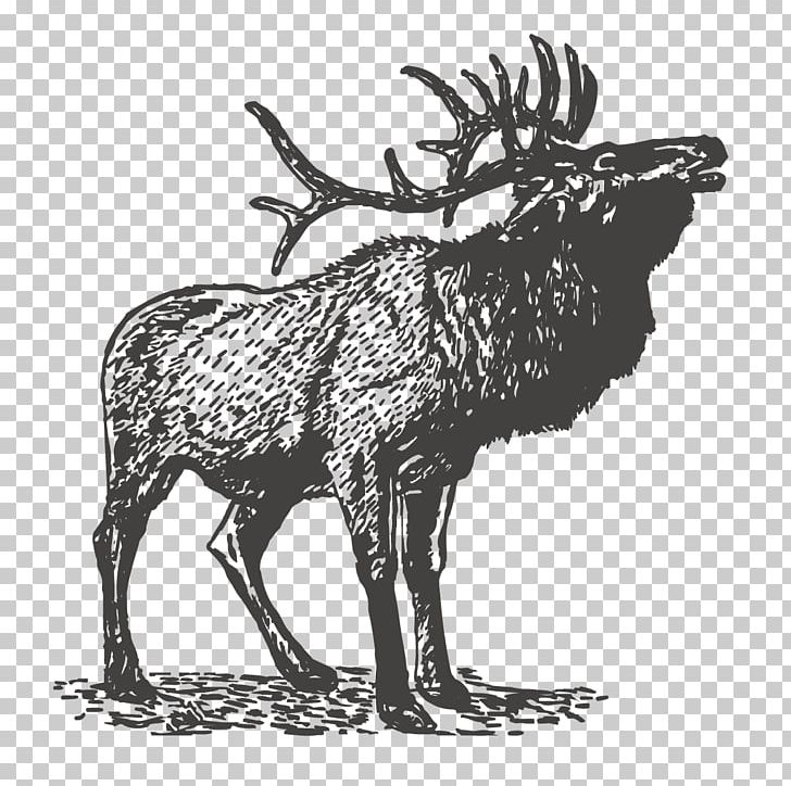 Grand Teton National Park Logo Decal Poster PNG, Clipart, Animal, Animals, Antler, Christmas Deer, Deer Free PNG Download