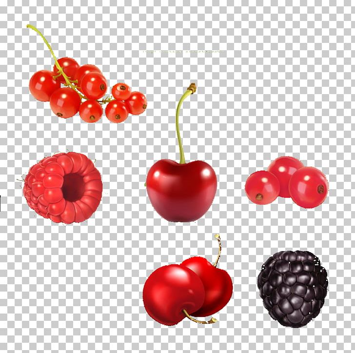 Juice Fruit Berry Illustration PNG, Clipart, Acerola, Acerola Family, Blueberries, Cart, Cartoon Free PNG Download