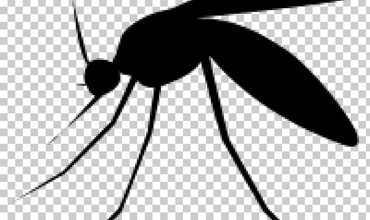 Mosquito Insect Pollinator Pest Control PNG, Clipart, Arthropod, Artwork, Black And White, Family, Fly Free PNG Download