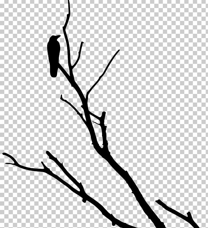 American Crow Rook Bird Tree PNG, Clipart, American Crow, Animals, Artwork, Beak, Bird Free PNG Download