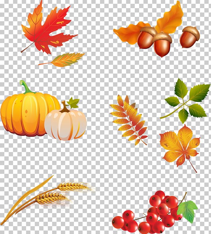 Autumn Encapsulated PostScript PNG, Clipart, Autumn, Cartoon, Cdr, Download, Encapsulated Postscript Free PNG Download
