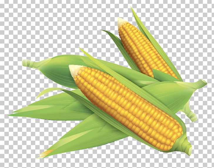 Corn On The Cob Maize Field Corn PNG, Clipart, Art, Cartoon Corn, Commodity, Corn, Corn Cartoon Free PNG Download