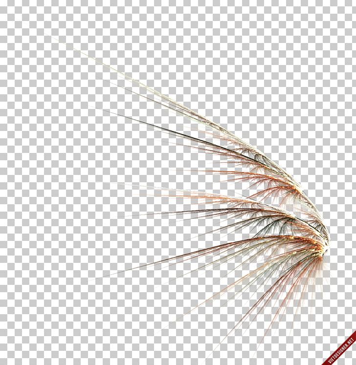 Drawing PNG, Clipart, Animals, Artificial Fly, Download, Drawing, Feather Free PNG Download