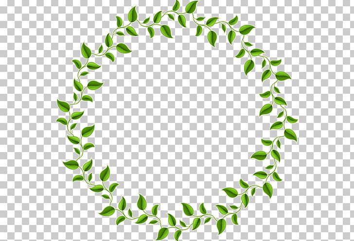 Graphics Portable Network Graphics Leaf Circle PNG, Clipart, Branch, Circle, Drawing, Encapsulated Postscript, Graphic Design Free PNG Download