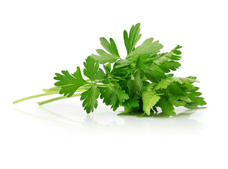 Herb Parsley Garnish Spice Flavor PNG, Clipart, Basil, Common Sage, Cooking, Coriander, Flavor Free PNG Download