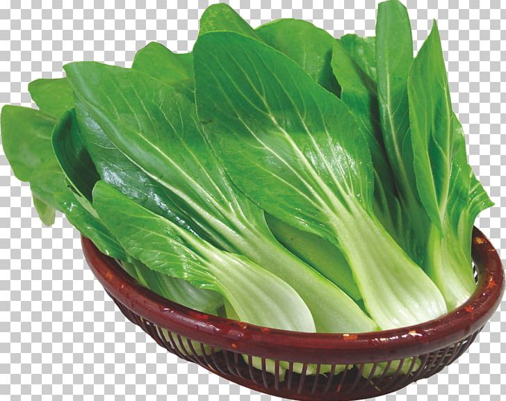 Romaine Lettuce Choy Sum Spring Greens Vegetable PNG, Clipart, Cabbage, Chinese Cabbage, Choy Sum, Download, Food Free PNG Download