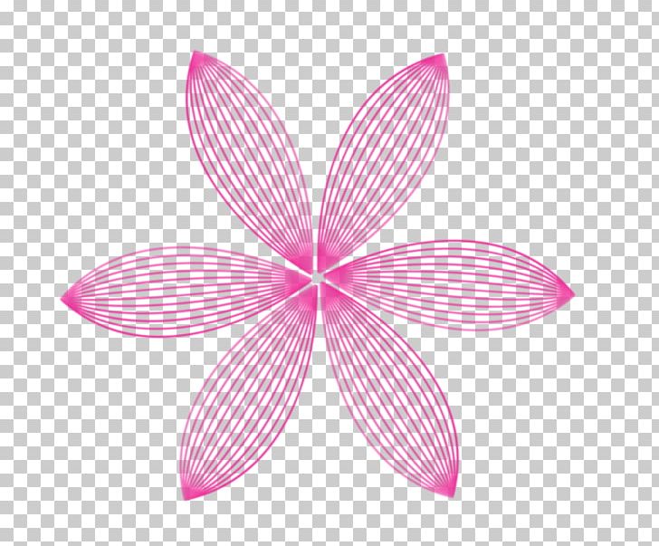Symmetry Product Design Graphics Pink M PNG, Clipart, Flower, Magenta, Others, Petal, Pink Free PNG Download