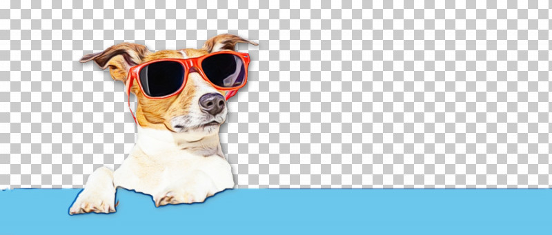 Dog Puppy Leash Snout Goggles PNG, Clipart, Breed, Crossbreed, Dog, Goggles, Leash Free PNG Download