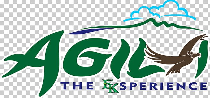 Enchanted Kingdom Flight Agila: The EKsperience Enchanted Forest Tourist Attraction PNG, Clipart, 4d Film, Agila The Eksperience, Amusement Park, Area, Artwork Free PNG Download