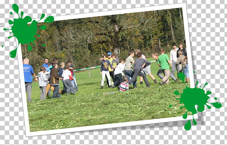 Leisure Recreation Lawn Tree Vehicle PNG, Clipart, Anacrusis, Community, Grass, Green, Lawn Free PNG Download