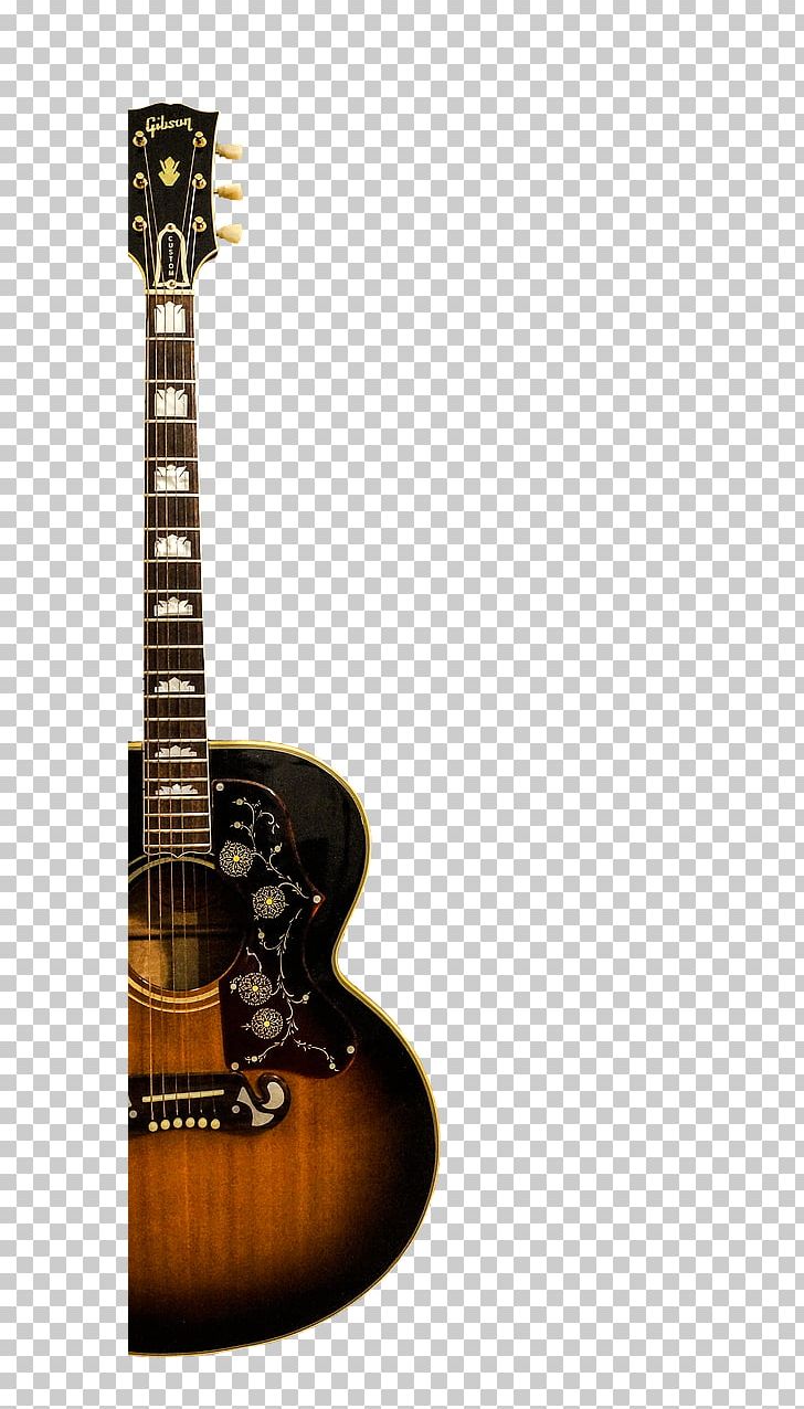 Acoustic-electric Guitar Tiple Cavaquinho Cuatro PNG, Clipart, Acoustic Electric Guitar, Classical Guitar, Cuatro, Guitar Accessory, Microphone Free PNG Download