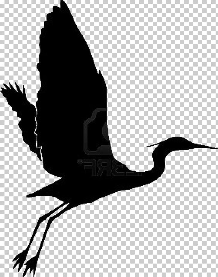 Beak Heron Bird Egret Grand Gardens PNG, Clipart, Animals, Bead, Beak, Bird, Black And White Free PNG Download