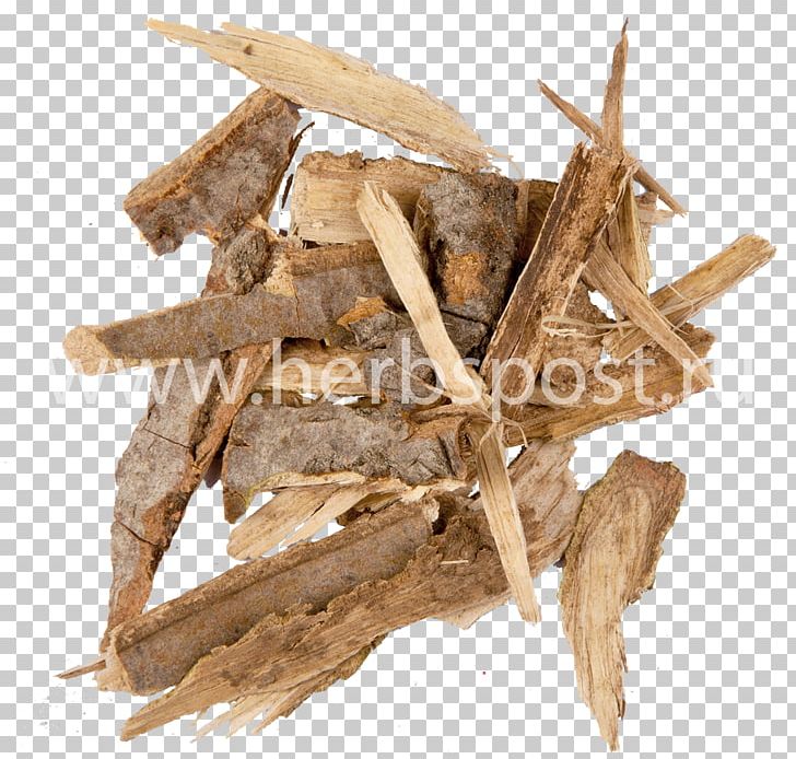 European Aspen Bark Pharmaceutical Drug Birch PNG, Clipart, Aspen, Bark, Birch, Birch Bark, Burn Free PNG Download