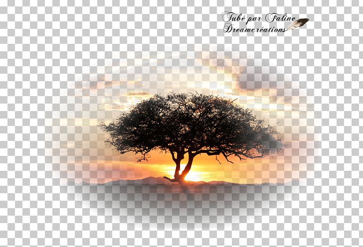 Landscape Africa Création Graphique PlayStation Portable Computer PNG, Clipart, Africa, Book, Clouds, Computer, Computer Wallpaper Free PNG Download
