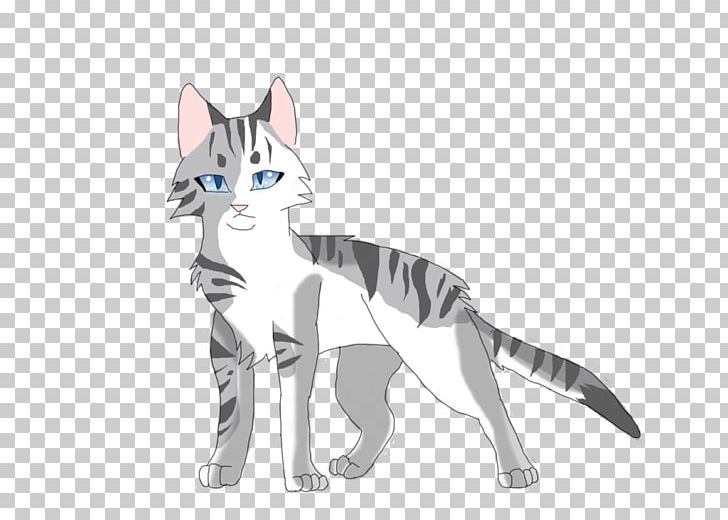 Whiskers Kitten Cat Dog Canidae PNG, Clipart, Animal, Animal Figure, Animals, Canidae, Carnivoran Free PNG Download