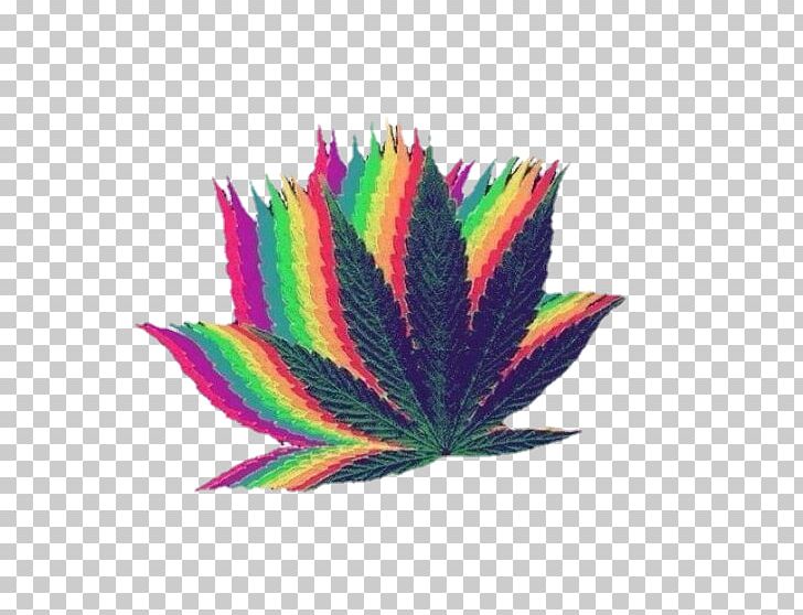 Cannabis Smoking Desktop Cannabis Cocktails PNG, Clipart, Amp, Art, Buzz, Cannabis, Cannabis Smoking Free PNG Download