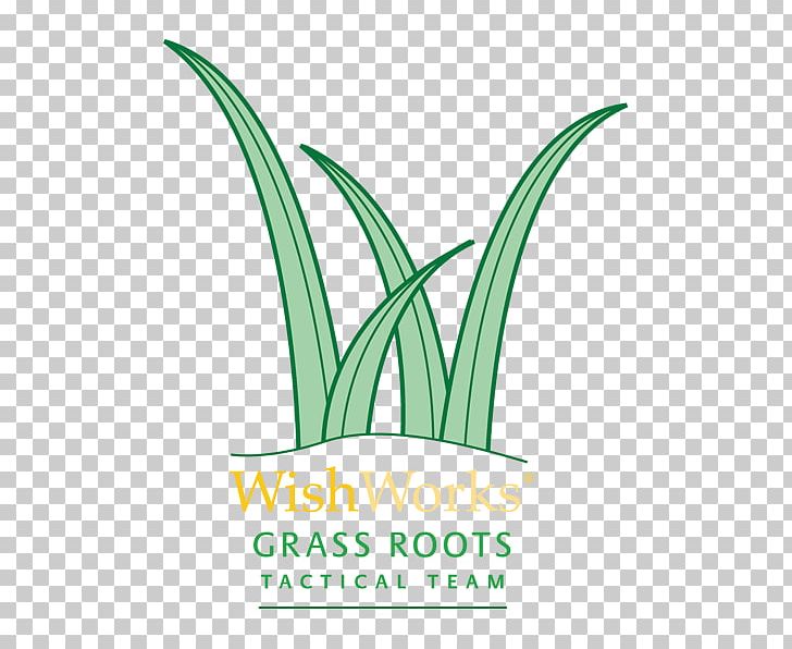 Leaf Logo Grasses Plant Stem Font PNG, Clipart, Flower, Graphic Design, Grass, Grasses, Grass Family Free PNG Download