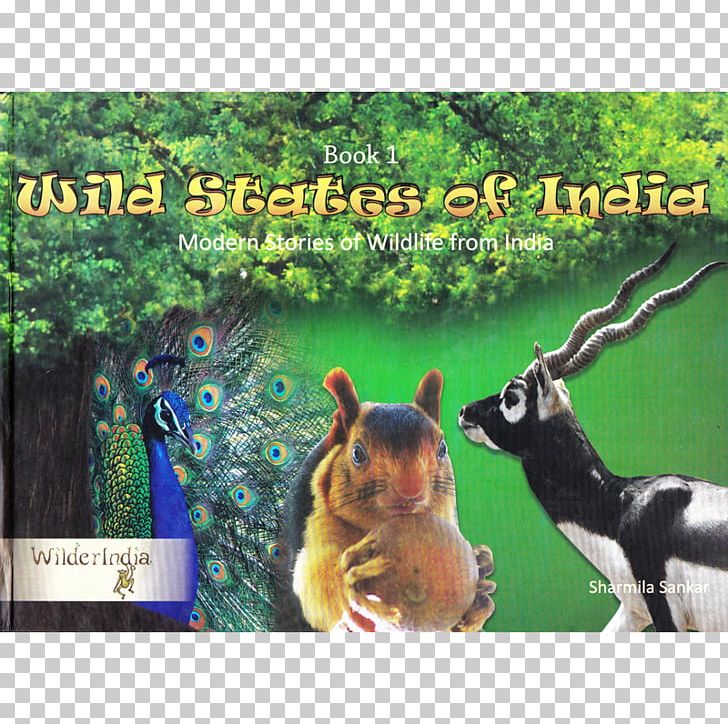 Wild States Of India Wild Tales Of India Wildlife Fauna Ecosystem PNG, Clipart, Advertising, Animal, Bhagat Singh, Ecosystem, Fauna Free PNG Download