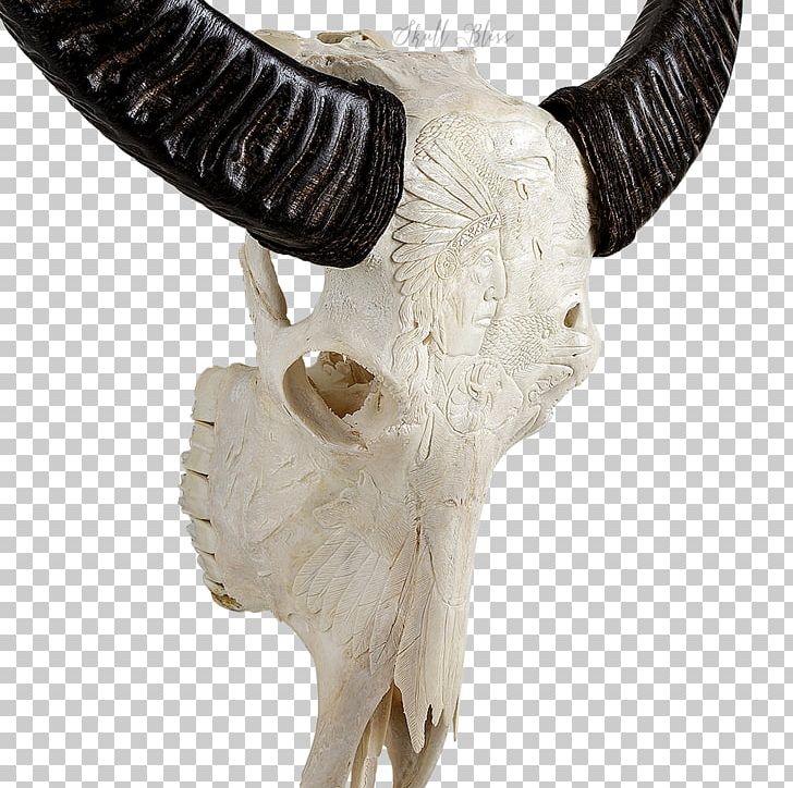 Animal Skulls Cattle Horn Skeleton PNG, Clipart, American Bison, Animal, Animal Skulls, Antler, Bliss Free PNG Download