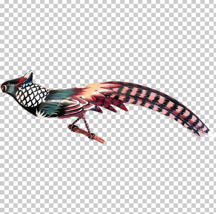 Feather Beak PNG, Clipart, Animals, Beak, Bird, Feather, Hand Painted Tail Free PNG Download