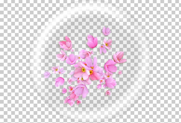 Flower PNG, Clipart, Blossom, Color, Dekor, Dishware, Download Free PNG Download