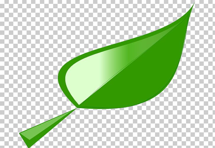 Leaf PNG, Clipart, Angle, Autumn Leaf Color, Bamboo Leaf, Bladnerv, Computer Icons Free PNG Download