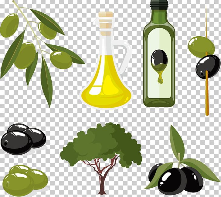 Olive Oil PNG, Clipart, Apple Fruit, Bottle, Cartoon Olive, Cartoon Olives,  Cooking Oil Free PNG Download