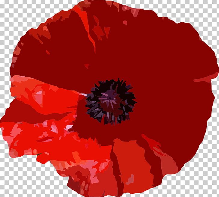 T-shirt Poppy Flower Papaver Orientale Red PNG, Clipart, Blue Rose, Botanical, Botany, Clothing, Color Free PNG Download