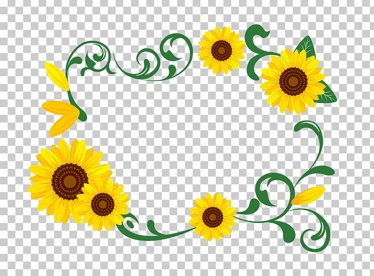 Common Sunflower Photography Illustration PNG, Clipart, Art, Christmas Garland, Creative Wedding, Daisy Family, Flower Free PNG Download
