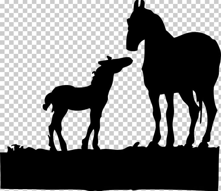 Foal Mare American Quarter Horse Colt PNG, Clipart, Animals, Black, Black And White, Bridle, Colt Free PNG Download